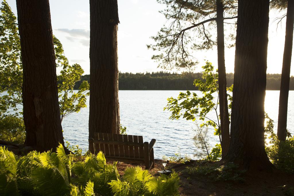Wolf Cove Inn Poland Dış mekan fotoğraf